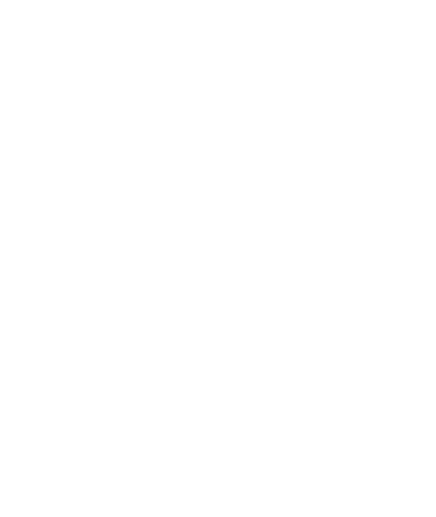 NeXus RV logo