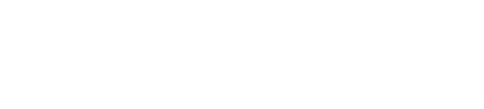 Leisure Travel logo