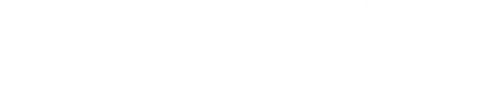 Travel Lite logo