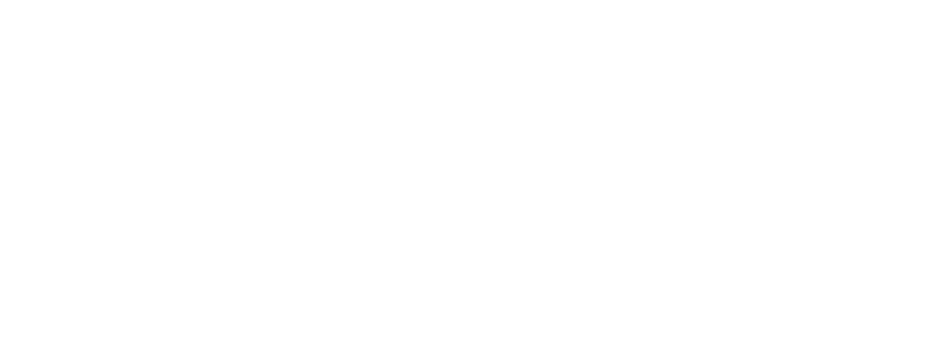 Modern Buggy logo